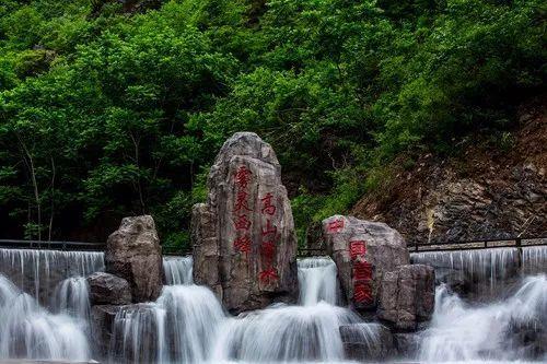 组装机械警暴龙